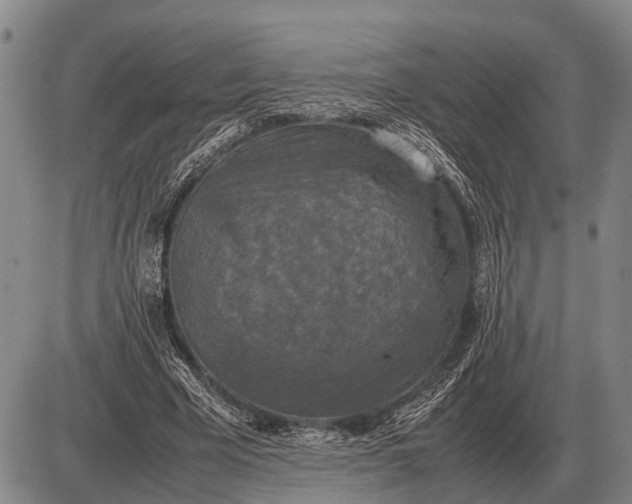 X0000085270585200703231743