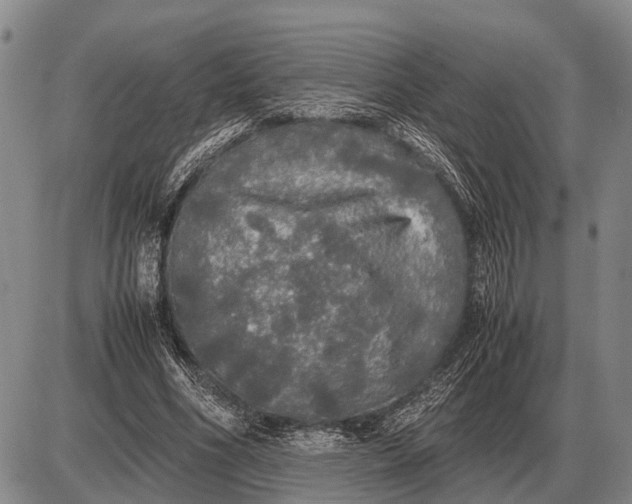 X0000085270586200703231743