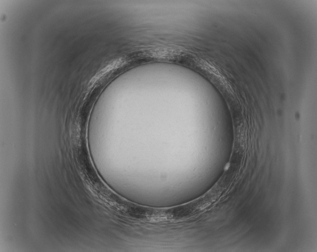 X0000085270587200703231743