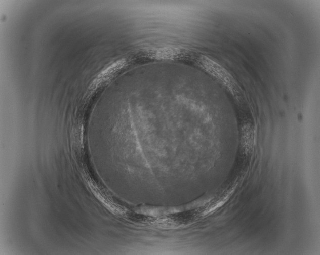 X0000085270589200703231743