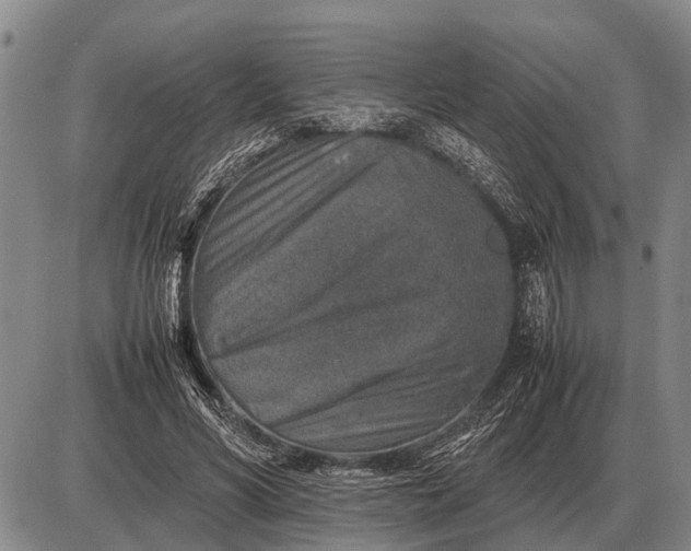 X0000085270590200703231743