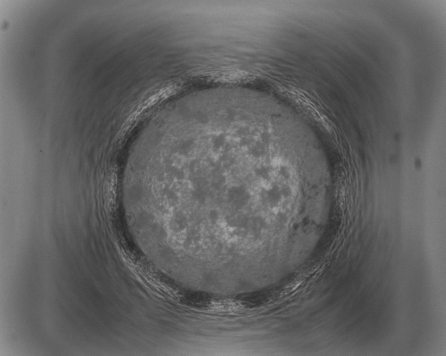 X0000085270591200703231743