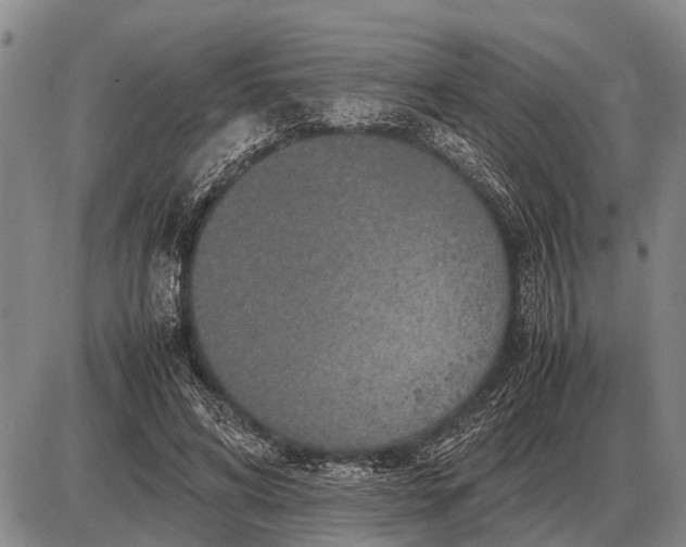 X0000085270592200703231743