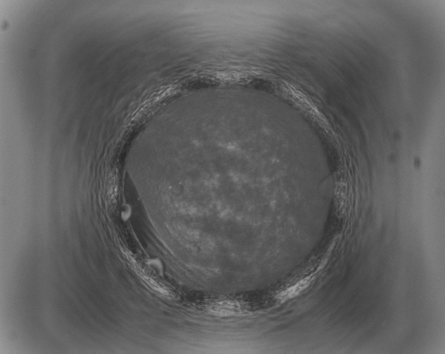 X0000085270593200703231743