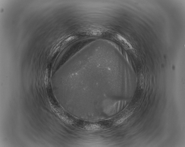 X0000085270594200703231743