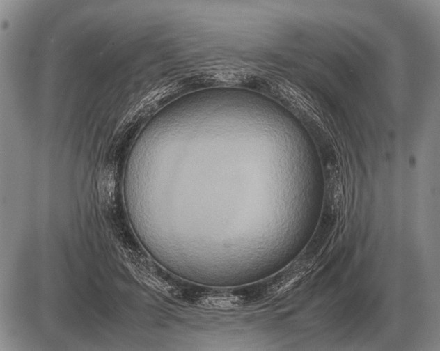 X0000085270595200703231743