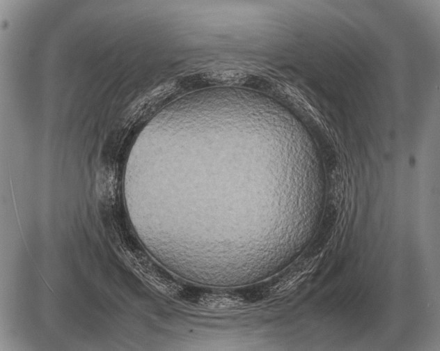 X0000085270597200703231743