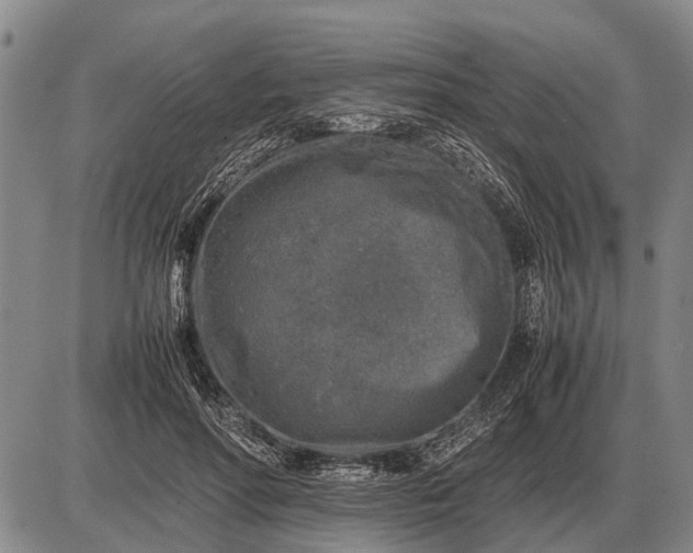 X0000085270598200703231743