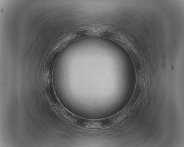 X0000085270599200703231743