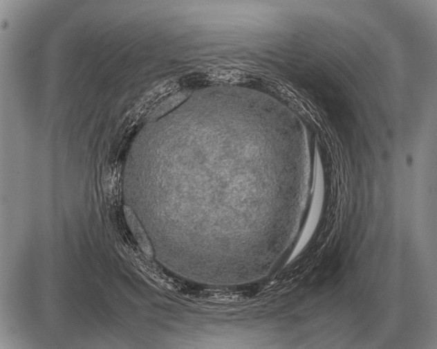 X0000085270601200703231743