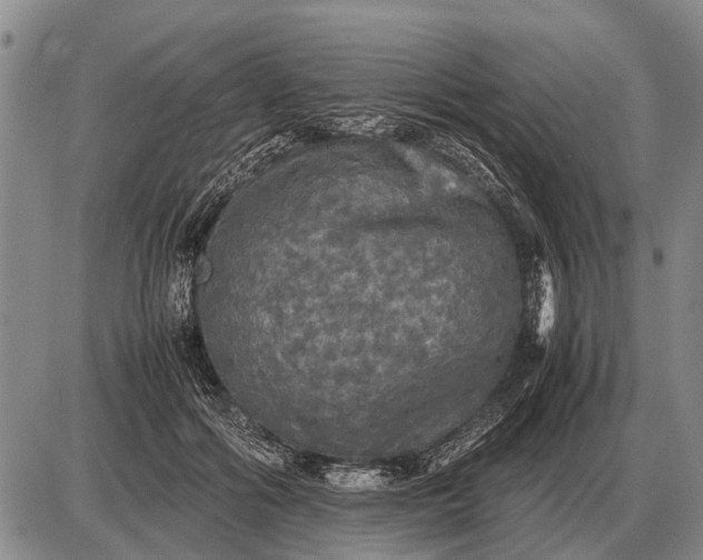 X0000085270602200703231743