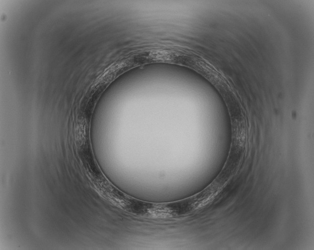 X0000085270603200703231743