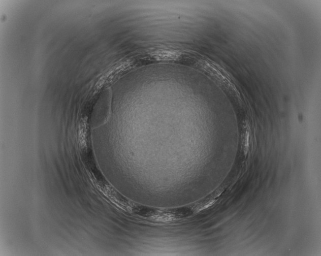 X0000085270604200703231743