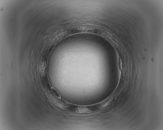 X0000085270605200703231743