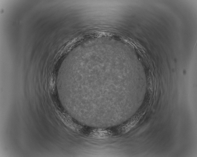 X0000085270607200703231743