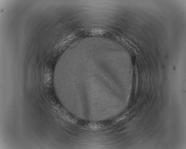 X0000085270608200703231743