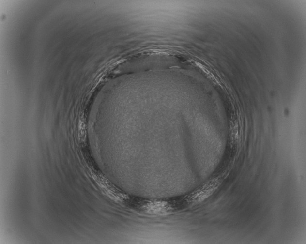 X0000085270609200703231743