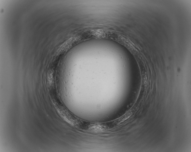 X0000085270611200703231743