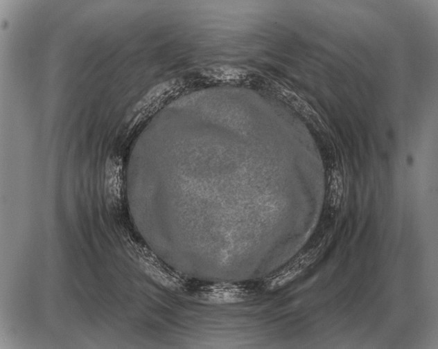 X0000085270612200703231743