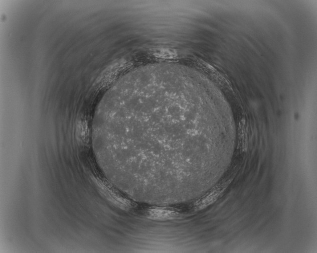 X0000085270614200703231742