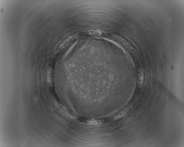 X0000085270616200703231742