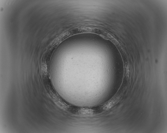 X0000085270617200703231742