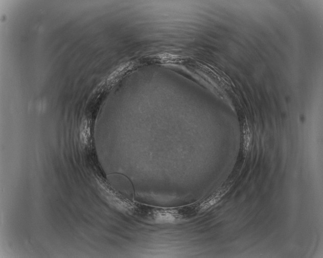 X0000085270618200703231742