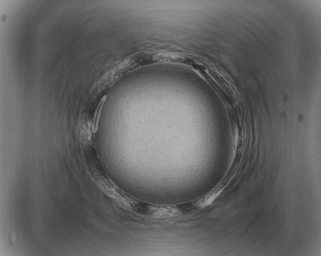 X0000085270621200703231742