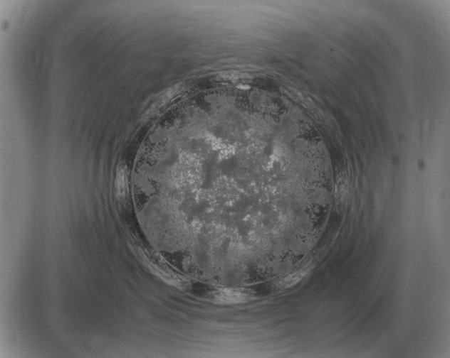 X0000085270623200703231742