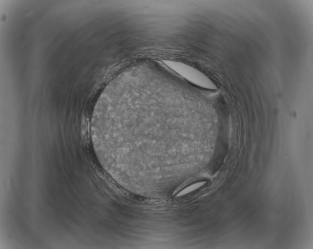 X0000085270624200703231742