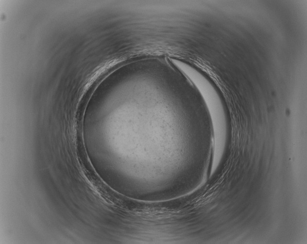 X0000085270626200703231742