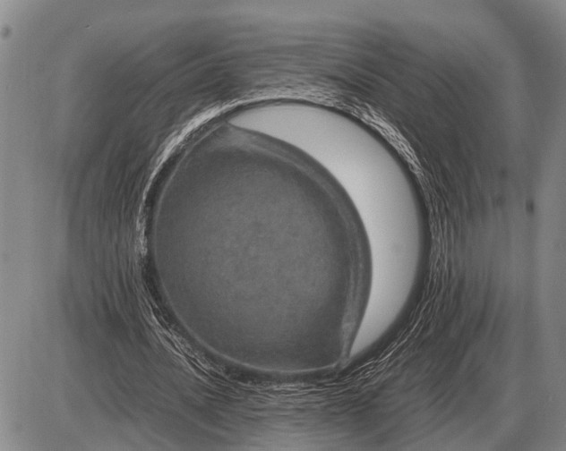 X0000085270628200703231742