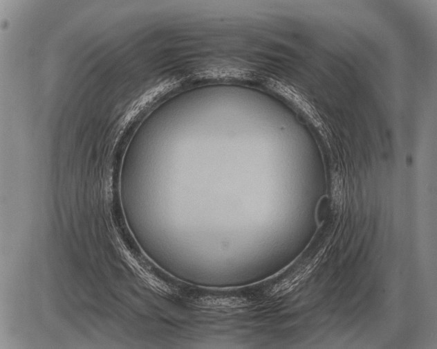 X0000085270629200703231742