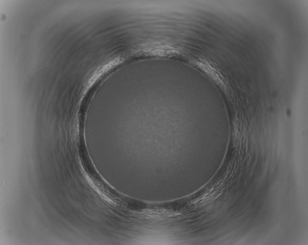 X0000085270630200703231742