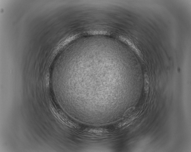 X0000085270631200703231742