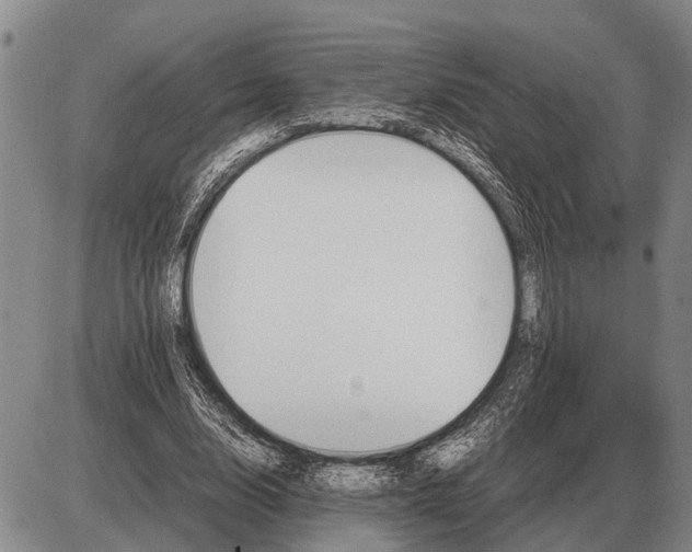 X0000085270632200703231742