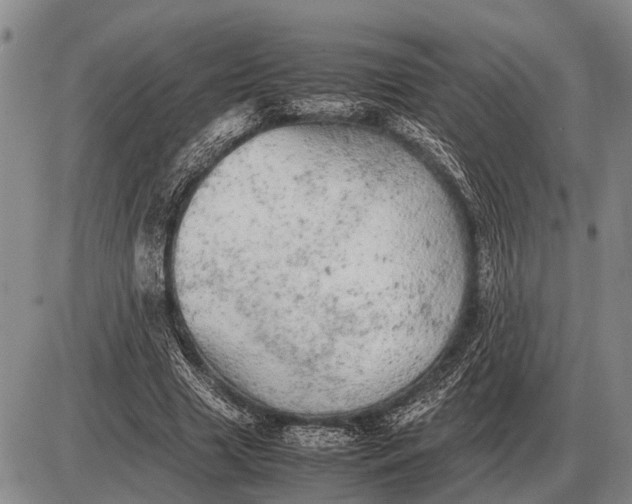 X0000085270633200703231742