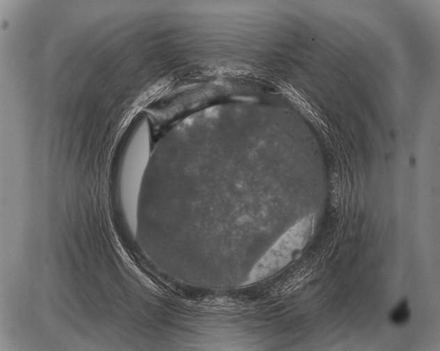 X0000085270634200703231742