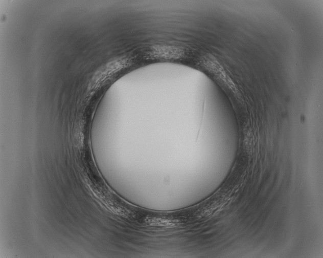 X0000085270635200703231742