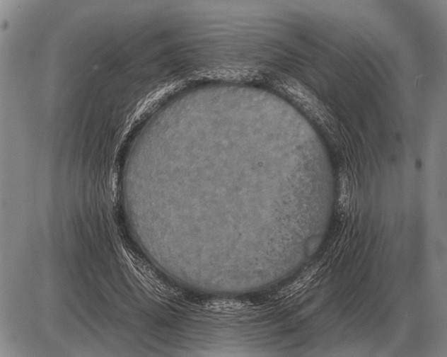 X0000085270636200703231742