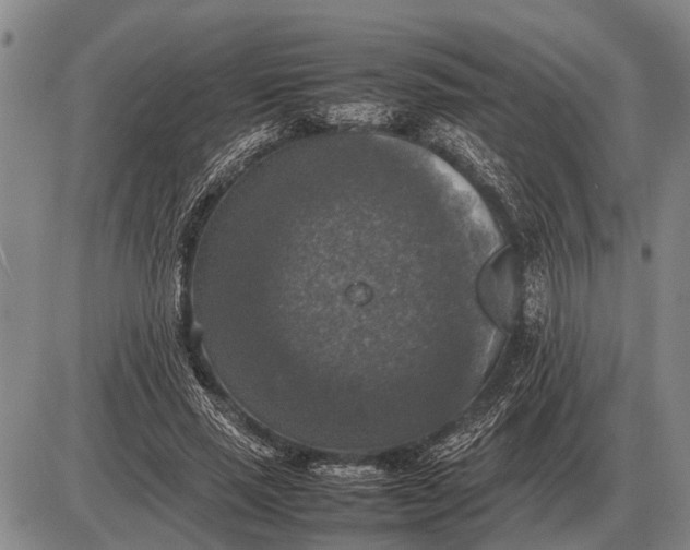 X0000085270637200703231742