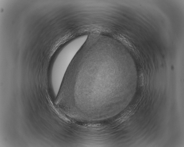 X0000085270638200703231742