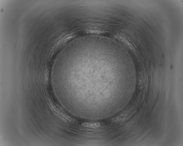 X0000085270639200703231742