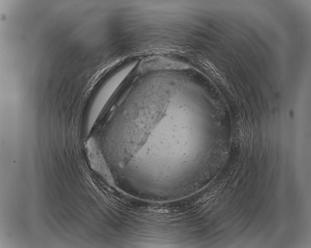 X0000085270640200703231742