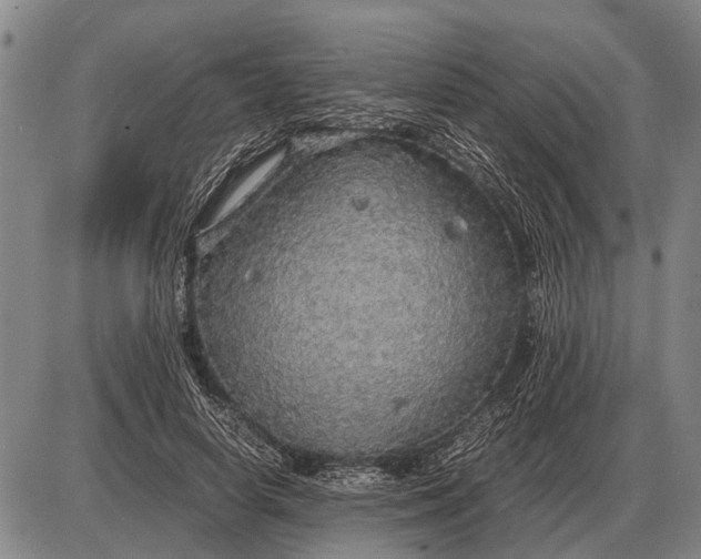 X0000085270642200703231742