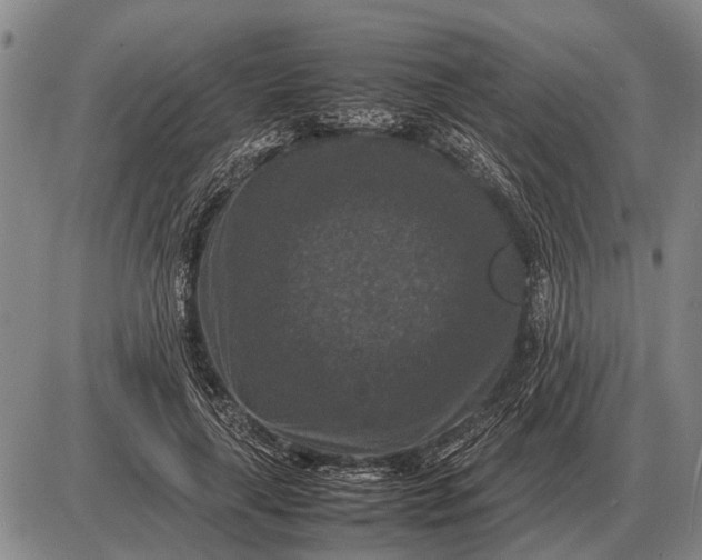 X0000085270643200703231742