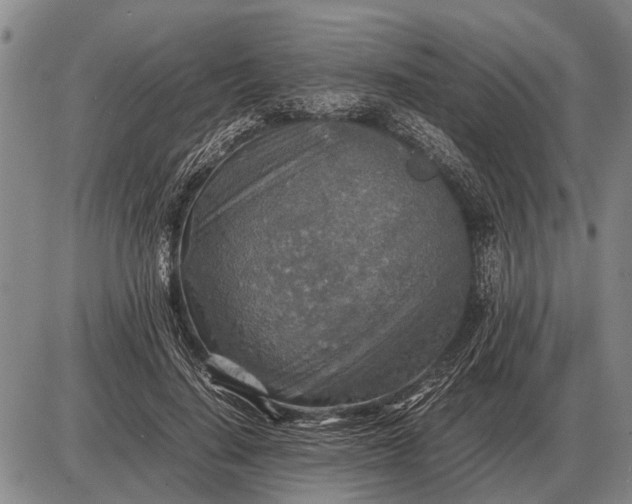 X0000085270644200703231742