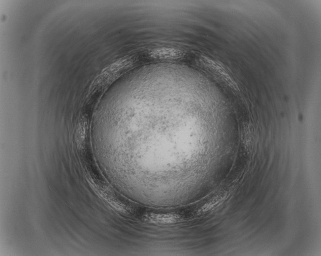 X0000085270645200703231742