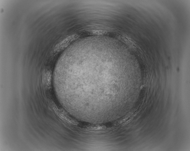 X0000085270646200703231742