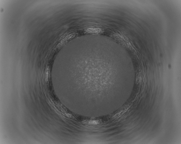 X0000085270647200703231742